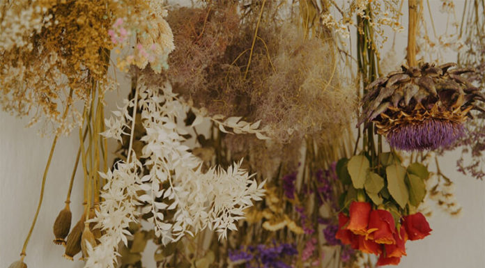The Enchanting Art of Dried Floristry: A Simple Guide to Creating Everlasting Bouquets