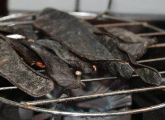 The Magic of Natural Dishwashing: A Guide to Creating a Powerful Cleaning Agent with Soapnuts and Lemongrass