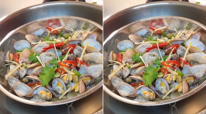 “A Delectable Delight: Steamed Clams with Ginger for a Flavorful Family Feast”