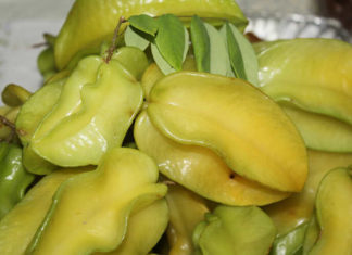 The Magic of Loquat Dish Soap: A Super-Effective, Natural Cleaning Solution