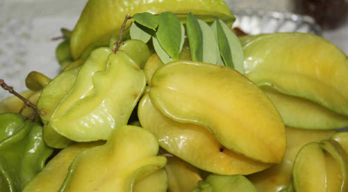 The Magic of Loquat Dish Soap: A Super-Effective, Natural Cleaning Solution