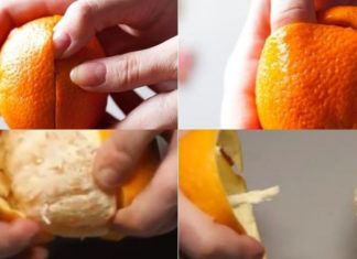 The Magic of Citrus: Crafting Mosquito-Repelling Candles from Orange and Pineapple Peels