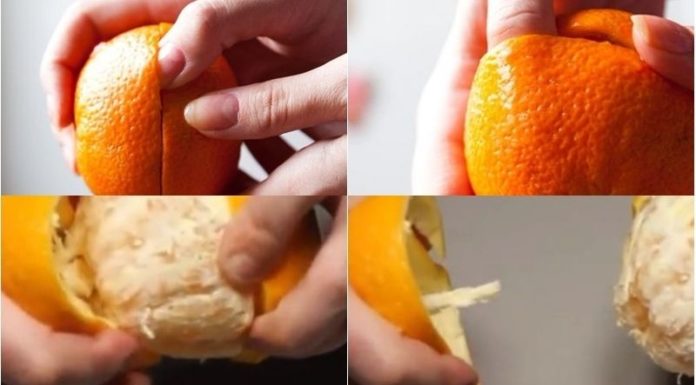The Magic of Citrus: Crafting Mosquito-Repelling Candles from Orange and Pineapple Peels