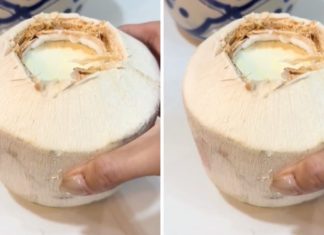 The Ultimate Guide to Creating a Decadent and Unique Coconut Cheese Jelly Dessert