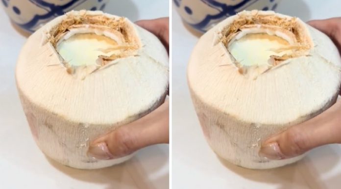 The Ultimate Guide to Creating a Decadent and Unique Coconut Cheese Jelly Dessert