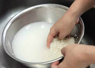 The Ultimate Guide to Cleaning Blood Cockle Shells: A Quick and Easy Method to Remove All Sand and Algae