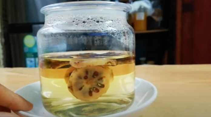 The Magic of Making Nau Tea: A Simple Recipe for a Healthy Brew