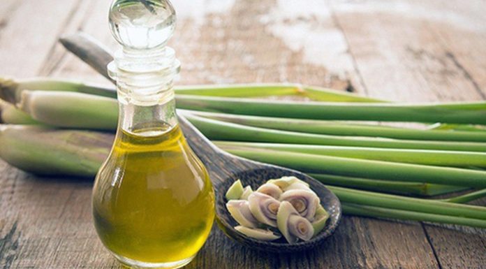 The Ultimate Guide to Making Mosquito-Repelling Essential Oils at Home