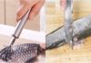 The Ultimate Guide to Filleting Snakehead Fish: A Quick and Easy Method for Anyone