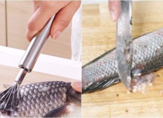 The Ultimate Guide to Filleting Snakehead Fish: A Quick and Easy Method for Anyone