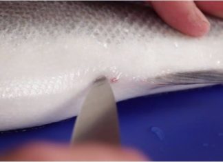 The Secret to Gut-Free Fish Filleting