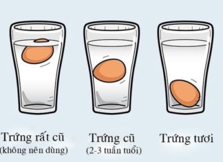 How to Tell If Eggs Are Past Their Prime in the Fridge?