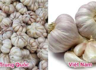 Identifying Chinese Vegetables: A Guide to Spotting the Difference