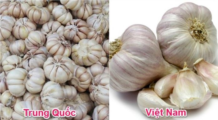 Identifying Chinese Vegetables: A Guide to Spotting the Difference