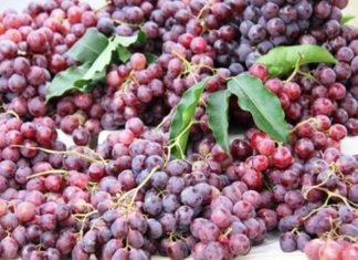 Identifying Imported Fruits: A Guide to Chinese Produce