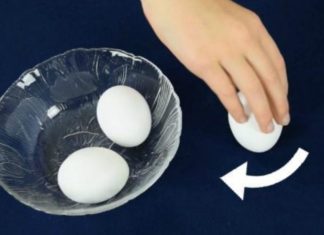 “The Ultimate Guide to Egg-cellence: Mastering the Art of Egg Identification”