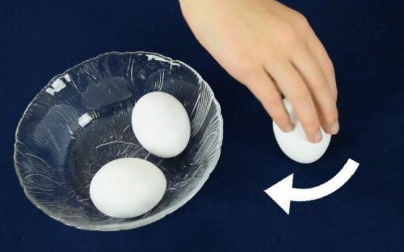 “The Ultimate Guide to Egg-cellence: Mastering the Art of Egg Identification”