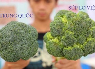 How to Tell the Difference Between Chinese and Vietnamese Cauliflowers