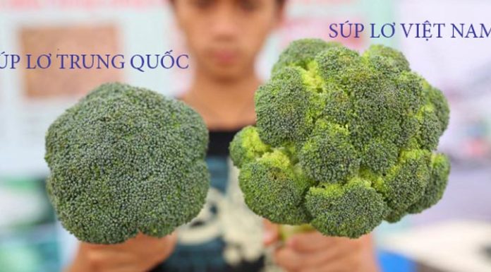 How to Tell the Difference Between Chinese and Vietnamese Cauliflowers