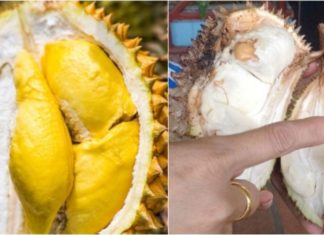 The King of Fruits: Unveiling the Secrets of Ripe and Artificial Durian