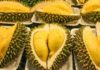 How to Distinguish Between Ri6 and Sa Thai Durian: A Guide to Finding the Tastiest Treat