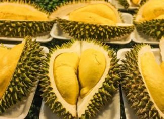 How to Distinguish Between Ri6 and Sa Thai Durian: A Guide to Finding the Tastiest Treat