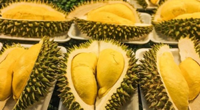How to Distinguish Between Ri6 and Sa Thai Durian: A Guide to Finding the Tastiest Treat
