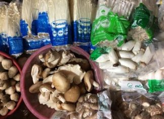 The Ultimate Guide: Identifying Vietnamese vs. Chinese Wood Ear Mushrooms