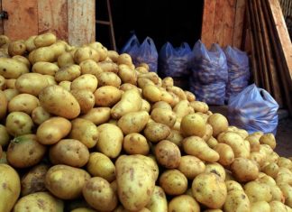 The Ultimate Guide to Telling Chinese and Dalat Potatoes Apart
