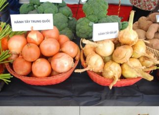 “How to Tell the Difference Between Vietnamese and Chinese Onions”