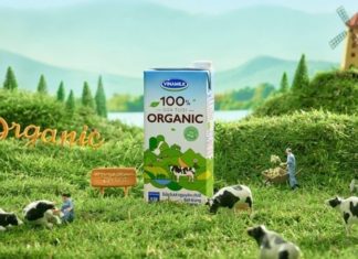 The Ultimate Guide: Authentic Vinamilk Fresh Milk – How to Spot the Imposters