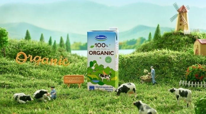 The Ultimate Guide: Authentic Vinamilk Fresh Milk – How to Spot the Imposters
