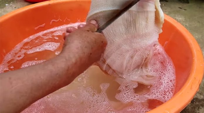 “The Master Chef’s Guide to Beef Liver: A Quick, Easy, and Delicious Method”