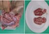 “The Ultimate Guide to Preparing Pork Brains: A Delicacy Done Right”
