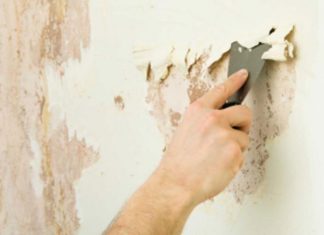 The Ultimate Guide to Removing Wall Mold: A Quick and Easy DIY Solution