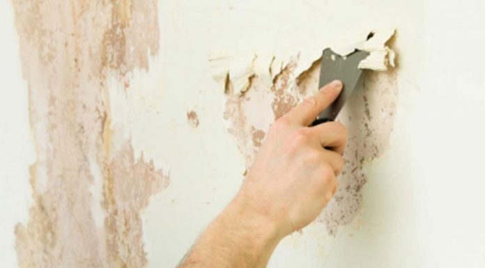 The Ultimate Guide to Removing Wall Mold: A Quick and Easy DIY Solution