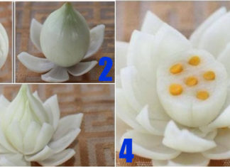 The Art of Sculpting Lotus Flowers from Onion Bulbs