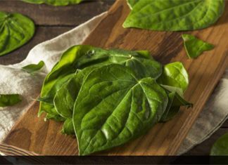How to Relieve Itching in the Intimate Area with Betel Leaves: A Safe and Effective Solution