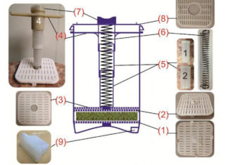 “The Ultimate Guide to Sprouting Bean Sprouts Like a Pro”
