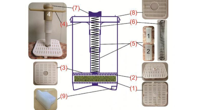 “The Ultimate Guide to Sprouting Bean Sprouts Like a Pro”