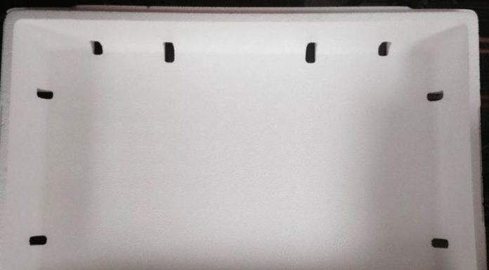 “The Ultimate Guide to Growing Water Spinach in a Clean and Safe Container”