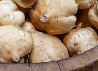 “The Ultimate Guide to Growing Sweet Potatoes in Containers at Home”