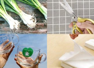 “The Ultimate, Fresh-Keepers Guide: Prolonging the Life of Spring Onions in Your Fridge”