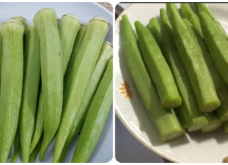 The Magic Potion for Long-Term Joint Pain: A Simple and Effective Remedy with Bitter Gourd