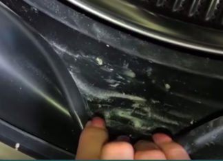 The Ultimate Guide to Cleaning Your Washing Machine’s Rubber Seal Like a Pro