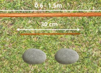 The Ultimate Guide: 4 Ingenious Ways to Determine Direction When Lost