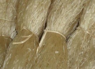 The Secret to Perfectly Stir-Fried Glass Noodles: Achieving that Elusive Tender Chew with No Clumps