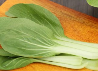 The Ultimate Guide to Coriander: Pairing Perfection and Pitfalls