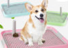 Dog Hygiene Made Easy: The Ultimate Guide to Choosing the Perfect Puppy Potty Tray