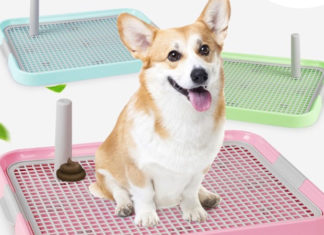 Dog Hygiene Made Easy: The Ultimate Guide to Choosing the Perfect Puppy Potty Tray